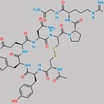 N-Acetyl Vasopressin CAS#: 38106-69-3