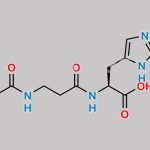 N-AcetylCarnosine CAS#: 56353-15-2