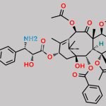 Paclitaxel Impurity 34 CAS#: N/A