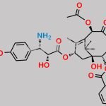 Paclitaxel Impurity 29 CAS#: N/A