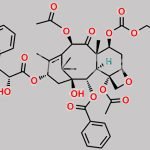 Paclitaxel Impurity 33 CAS#: 114915-15-0