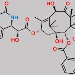 N-Debenzoyl-N-Butanoyl-10-Deacetylpaclitaxel CAS#: 173101-47-8