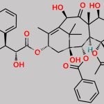 N-DesBoc Docetaxel CAS#: 133524-69-3
