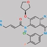 N-Desmethyl Afatinib CAS#: 2413212-13-0
