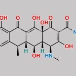 N-Desmethyl Doxycycline CAS#: 86271-83-2