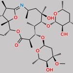 N-Despropyl Gamithromycin 10,13-Imino Ether CAS#: 145414-17-1