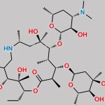 N-Despropyl Gamithromycin CAS#: 145388-07-4