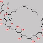 N-Formyl Amphotericin B CAS#: 1314099-20-1