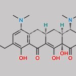 N-Methyl Omadacycline CAS#: 488819-64-3