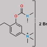 N-methylated Dimer 1 CAS#: N/A