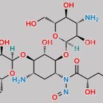 N-Nitroso Amikacin CAS#: N/A