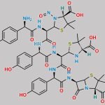N-Nitroso Amoxicillin Impurity J Trimer CAS#: N/A
