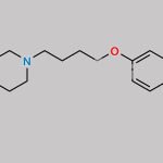 N-Nitroso Aripiprazole EP Impurity E CAS#: N/A