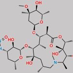 N-Nitroso Azithromycin EP Impurity M CAS#: N/A