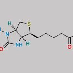 N-Nitroso Biotin CAS#: 56859-26-8
