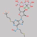 N-Nitroso Cangrelor CAS#: N/A