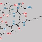 N-Nitroso Caspofungin CAS#: N/A