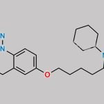 N-Nitroso Cilostazol CAS#: N/A