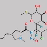 N-Nitroso Clindamycin CAS#: N/A