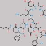 N-Nitroso Daptomycin CAS#: N/A