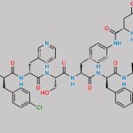 N-Nitroso Degarelix CAS#: N/A