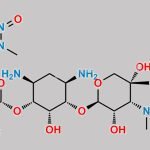 N-Nitroso Gentamicin-2 CAS#: N/A