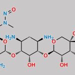 N-Nitroso Gentamicin-3 CAS#: N/A