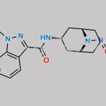 N-Nitroso Granisetron EP Impurity C CAS#: N/A