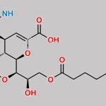 N-Nitroso Laninamivir Impurity 1 CAS#: N/A
