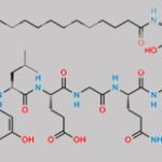 N-Nitroso Liraglutide CAS#: N/A
