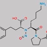 N-Nitroso Lisinopril EP Impurity E CAS#: N/A