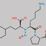 N-Nitroso Lisinopril EP Impurity F CAS#: N/A