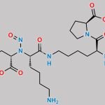 N-Nitroso Lisinopril EP Impurity J CAS#: N/A