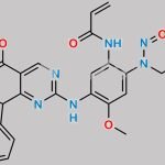 N-Nitroso Mobocertinib Impurity 1 CAS#: N/A