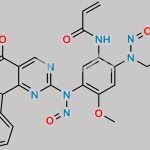 N-Nitroso Mobocertinib Impurity 2 CAS#: N/A