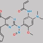 N-Nitroso Mobocertinib Impurity 3 CAS#: N/A