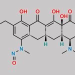 N-Nitroso N-Desmethyl Omadacycline Impurity 1 CAS#: N/A