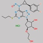 N-Nitroso Ticagrelor CAS#: N/A