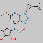 N-Nitroso Ticagrelor EP Impurity B CAS#: N/A