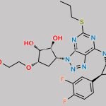 N-Nitroso Ticagrelor EP Impurity C CAS#: N/A
