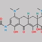 N-Nitroso Tigecycline CAS#: N/A