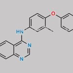 N-Nitroso Tucatinib Impurity 2 CAS#: N/A