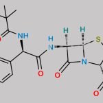 N-Pivaloyl Amoxicillin CAS#: 1313237-94-3