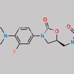 N-t-Butyl Linezolid CAS#: 1215006-11-3