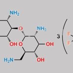 N1-Acetyl Neamine Tri-TFA Salt CAS#: N/A
