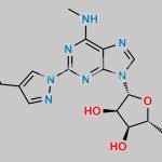 N6-Methyl Derivative Adenosine CAS#: 765299-55-6
