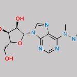 N6-methyl-N6-nitroso-Adenosine CAS#: 41286-73-1