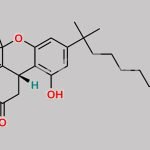 Nabilone CAS#: 51022-71-0