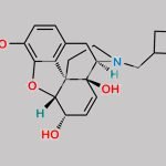 Nalbuphine Impurity 2 CAS#: 66944-73-8