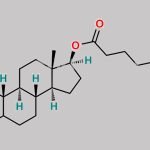 Nandrolone Decanoate EP Impurity K CAS#: 52230-63-4